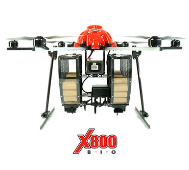 x800bio.jpg (21 KB)